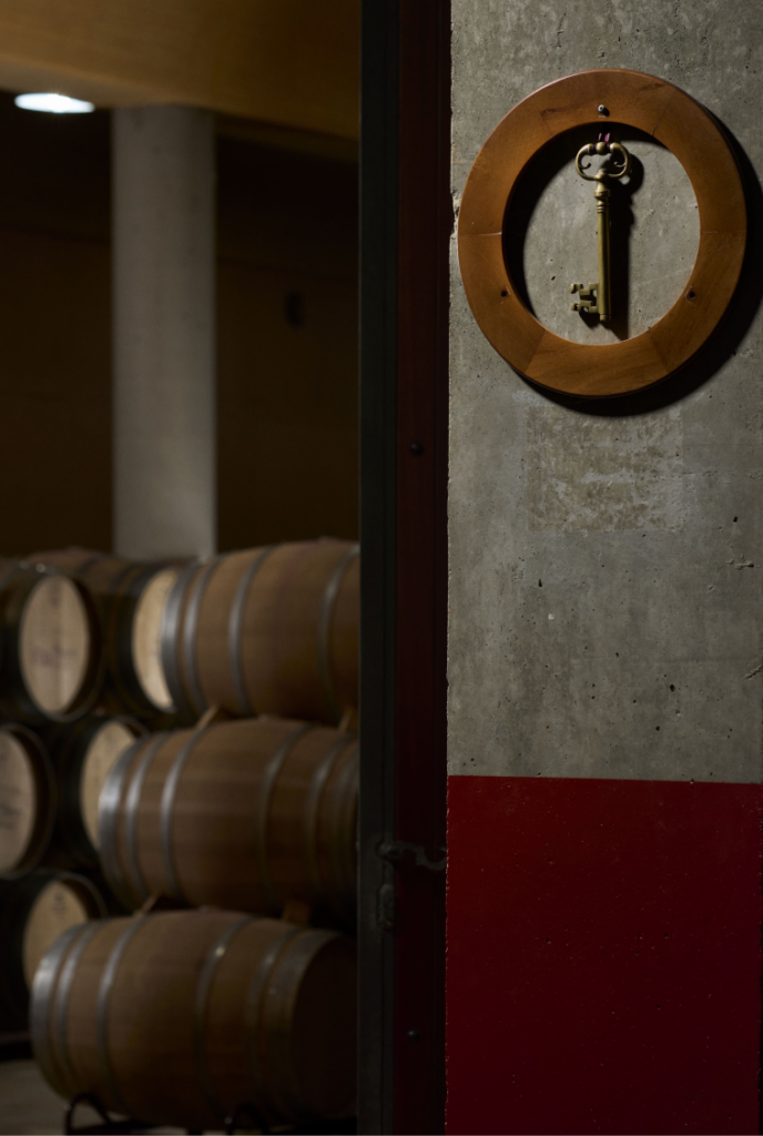 SOLANA DE RAMIREZ erredehierro 20 min 1