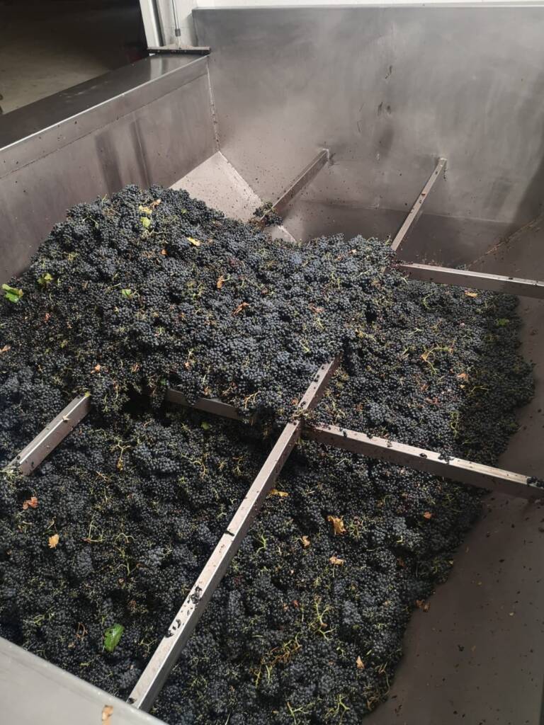 Primera fase elaboración: Tolva