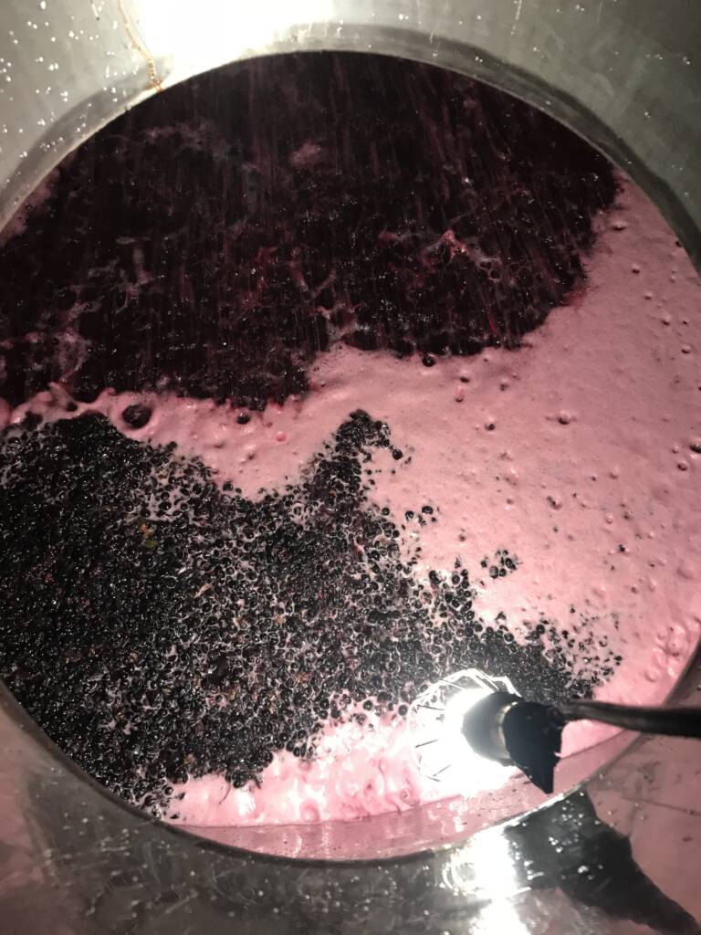 Fase de elaboración 3: Deposito