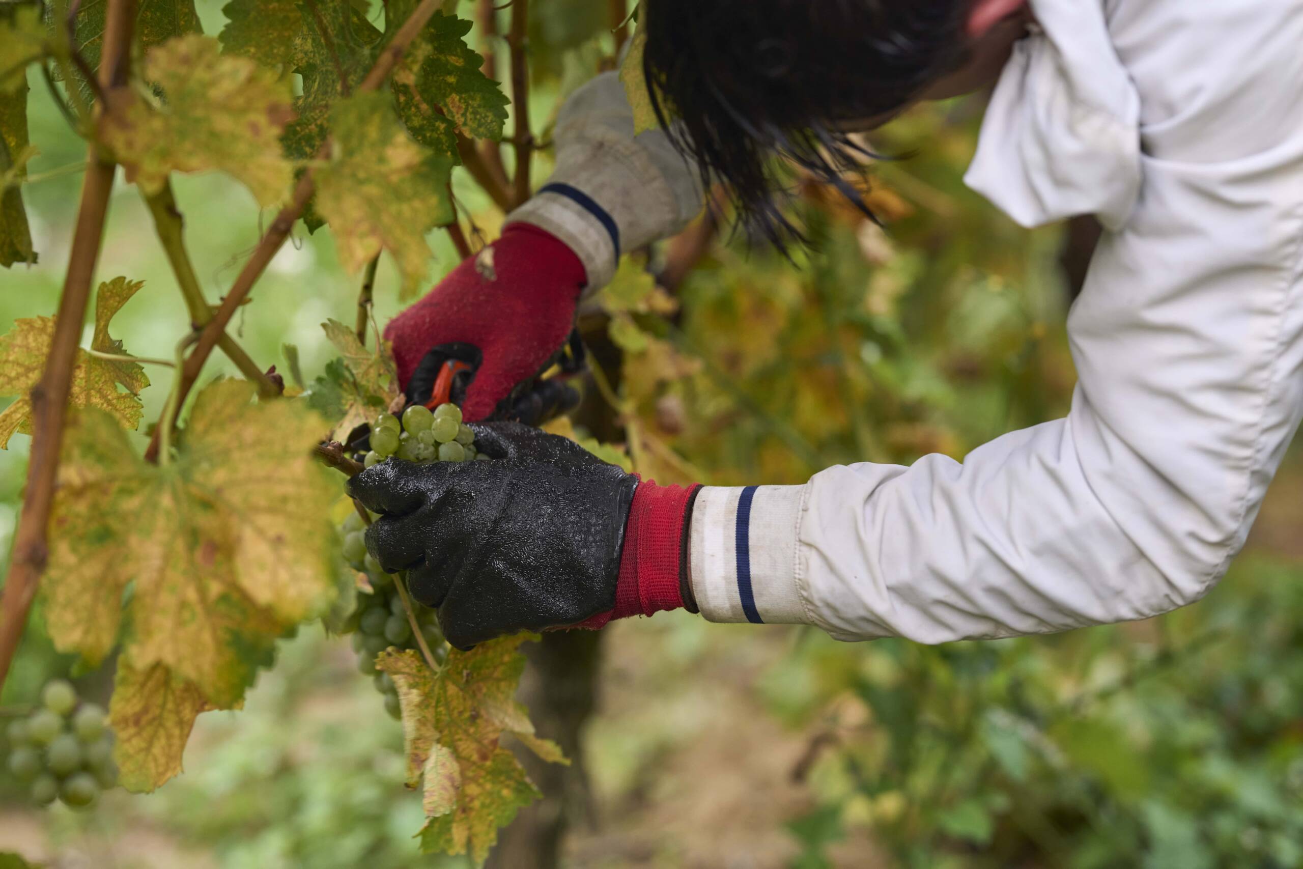 ARH 06 10 24016 min scaled