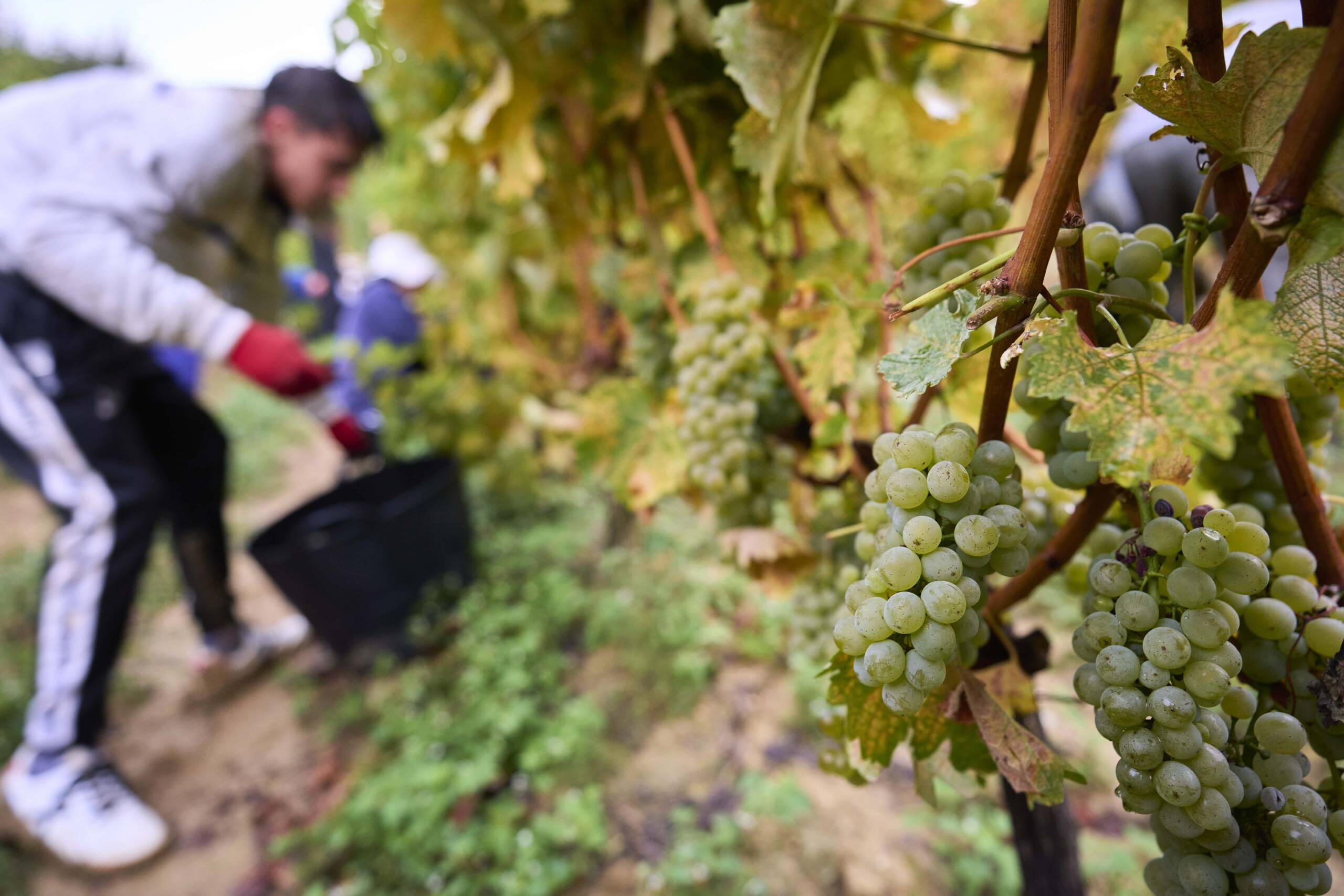 ARH 06 10 24025 min scaled