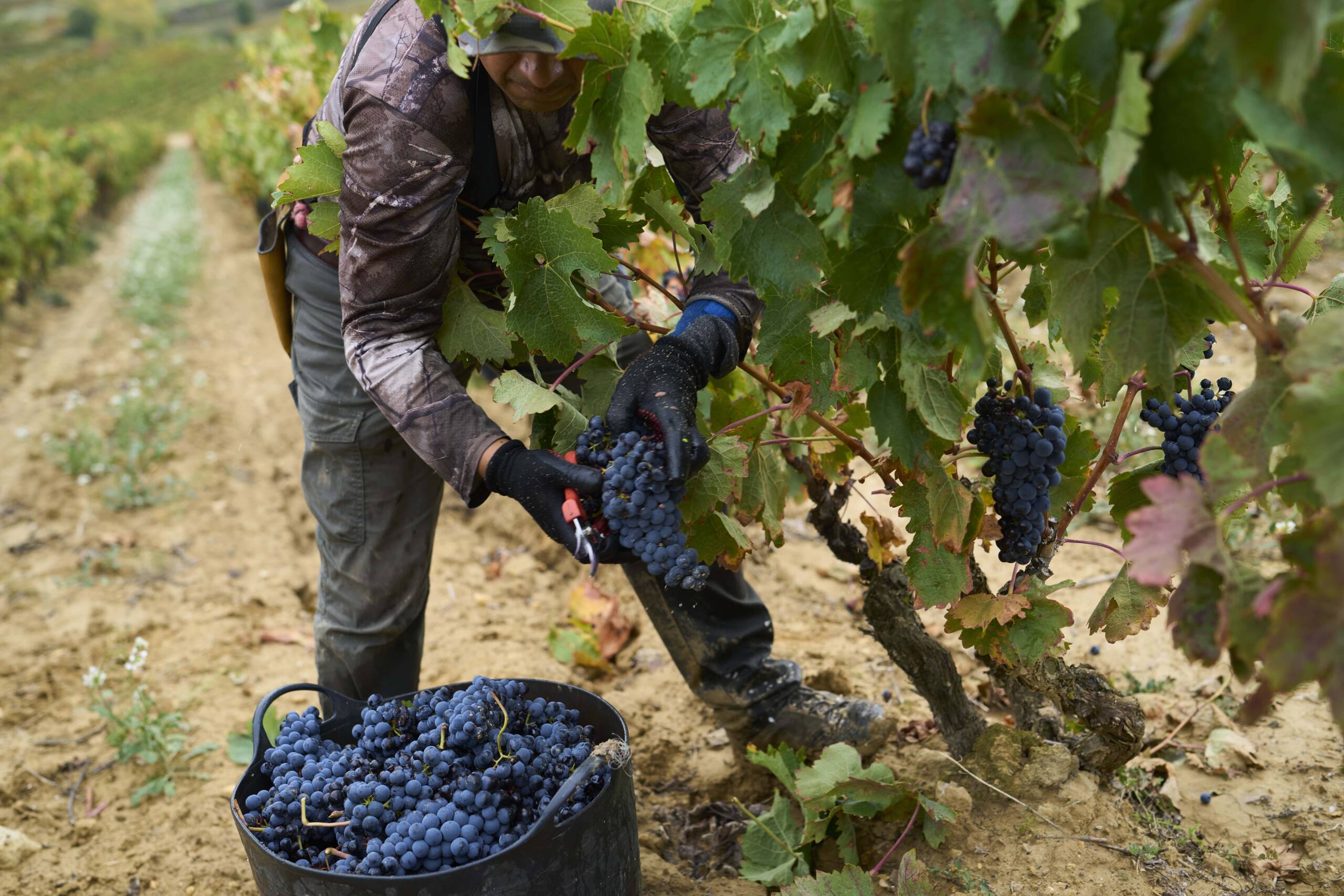 ARH 06 10 24111 min scaled